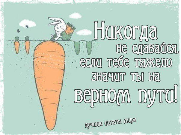 Идеи Для Лд Год Самые Новые Идеи Для Лд Год Самые Новые